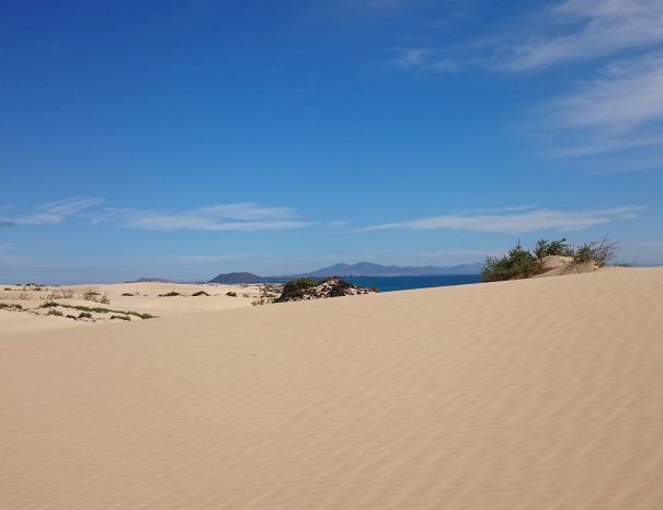 fuerteventura corralejo dunes