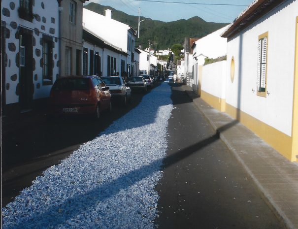Azores-petals3