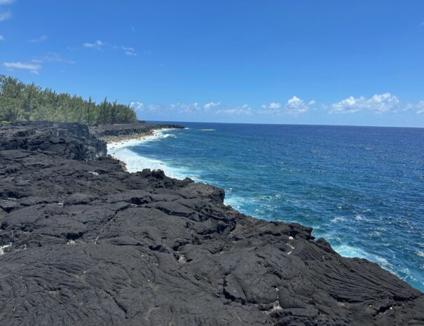 coastal lava fields, Réunion